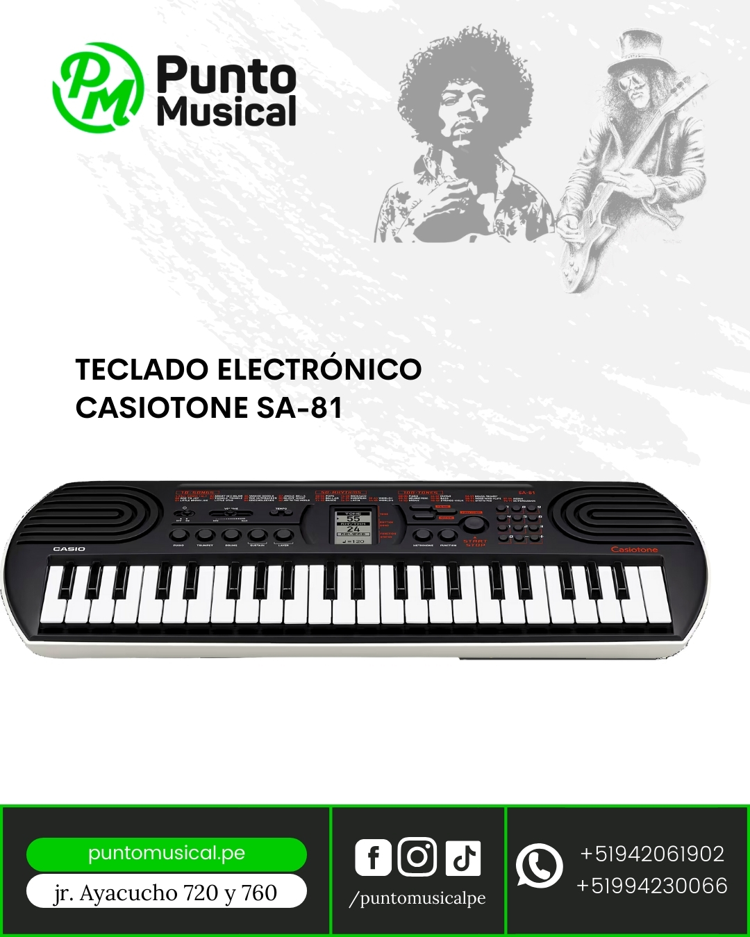 Teclado Electrónico Casiotone SA-81