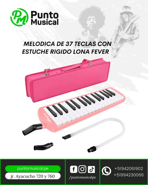 BRIO Melodica Con Tastiera 30183 – Giocattolo Musicale In Legno Per Bambini - 2