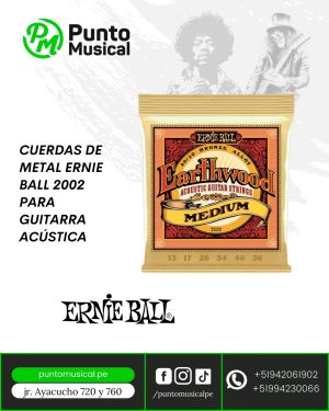CUERDAS DE METAL ERNIE BALL 2002 PARA GUITARRA ACÚSTICA