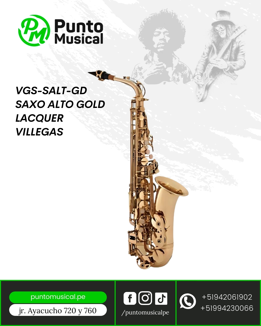 Saxofón Alto Lacado Dorado – VILLEGAS VGS-SALT-GD