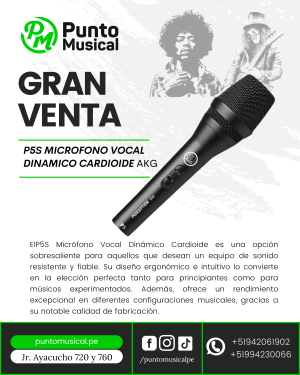 P5S MICROFONO VOCAL DINAMICO CARDIOIDE AKG