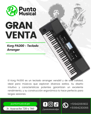 Korg PA300 - Teclado Arranger