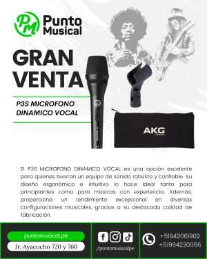 P3S MICROFONO DINAMICO VOCAL