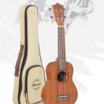 Comprar web 2 – 12 - Punto Musical Peru