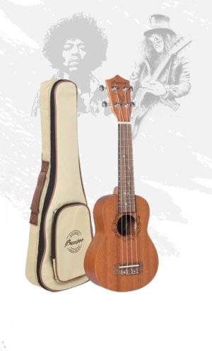 Comprar web 2 – 12 - Punto Musical Peru