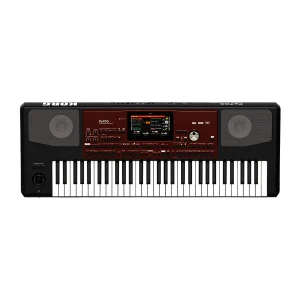 Teclado Korg Arranger PA 700