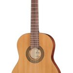 ORTEGA RSTC5M GUITARRA ACÚSTICA  COLOR NATURAL