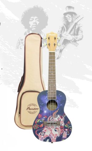 Comprar web 2 – 18 - Punto Musical Peru